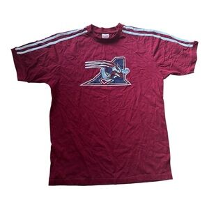Y2K Montreal Alouettes CFL Canada Sogo T-Shirt Size: M
